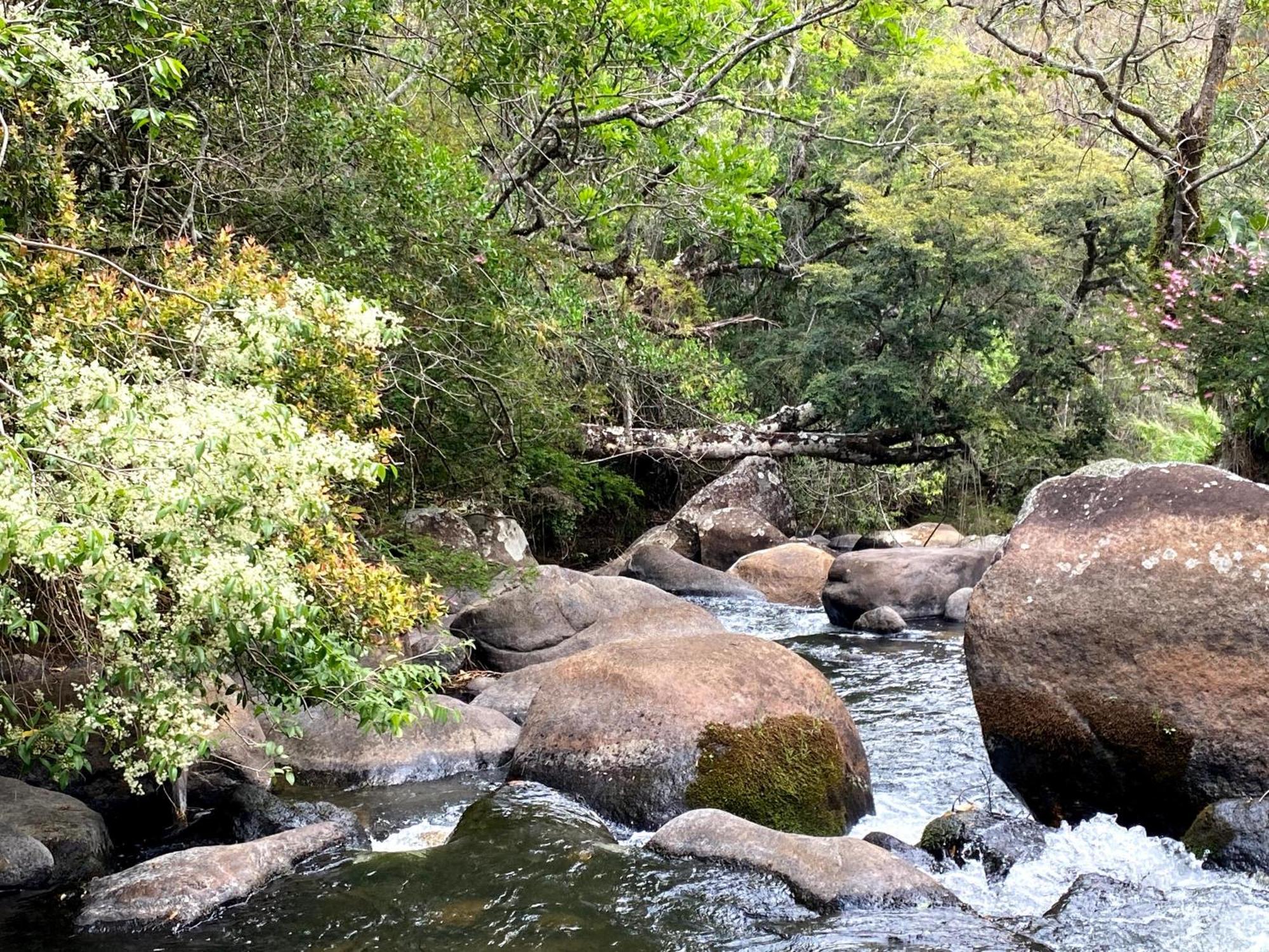 Pousada Estancia Rio Acima Itamonte Dış mekan fotoğraf